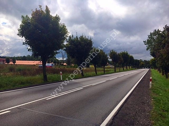 Działka na sprzedaż, pomorskie, Borcz - zdjęcie ofertowe nr 4