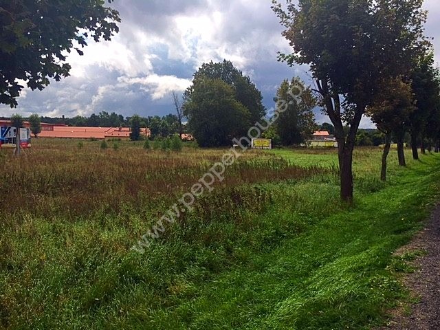 Działka na sprzedaż, pomorskie, Borcz - zdjęcie ofertowe nr 3