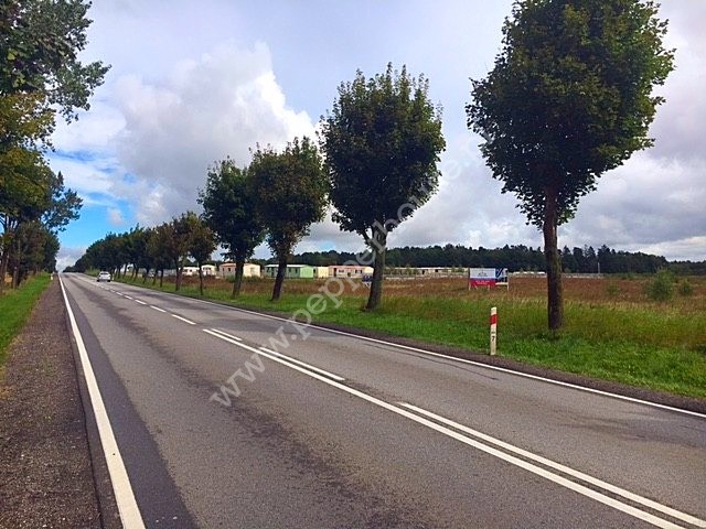 Działka na sprzedaż, pomorskie, Borcz - zdjęcie ofertowe nr 5