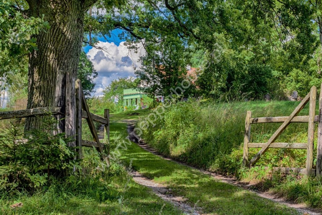 Dom na sprzedaż, warmińsko-mazurskie, Grotowo - zdjęcie ofertowe nr 13