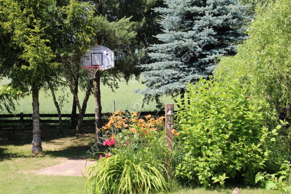 Dom na sprzedaż, pomorskie, Chrztowo - zdjęcie ofertowe nr 17