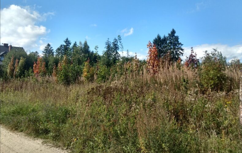 Działka na sprzedaż, pomorskie, Brudzewo, ul. Kaszubska