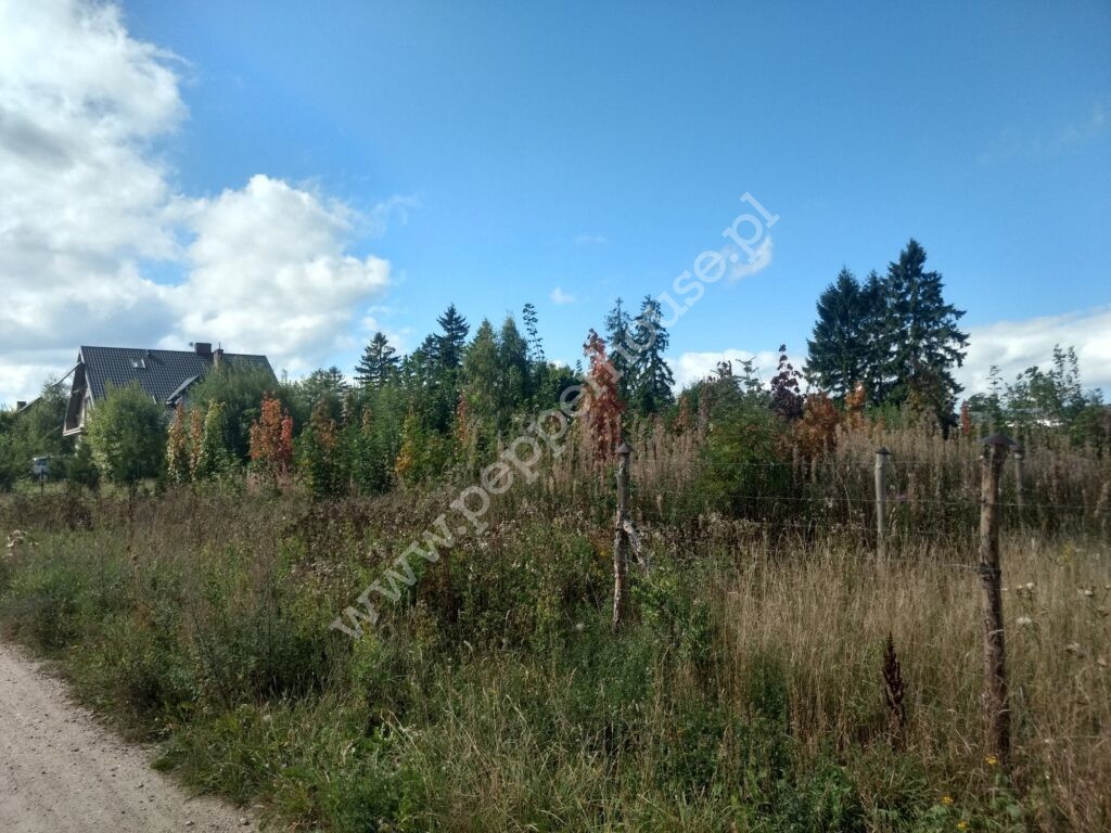 Działka na sprzedaż, pomorskie, Brudzewo, ul. Kaszubska - zdjęcie ofertowe nr 2