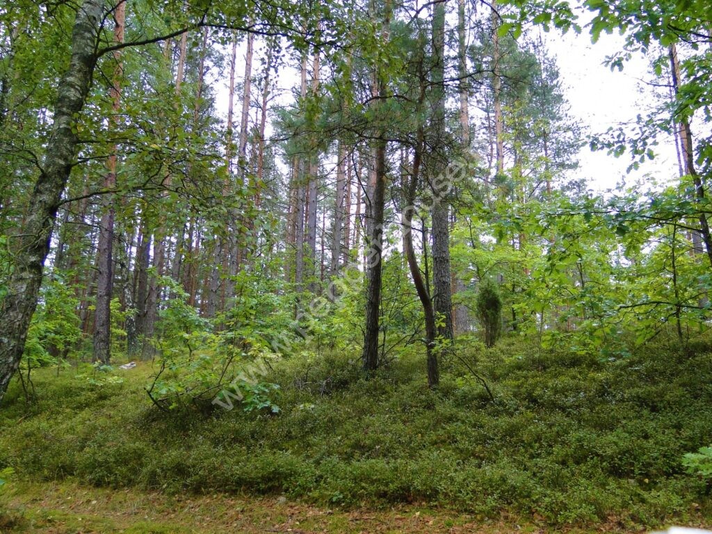 Działka na sprzedaż, pomorskie, Skorzewo - zdjęcie ofertowe nr 2