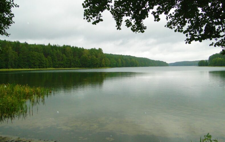 Działka na sprzedaż, pomorskie, Skorzewo