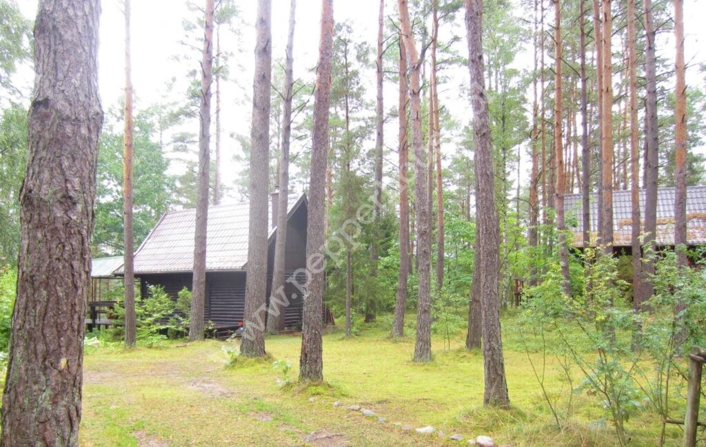 Działka na sprzedaż, pomorskie, Skorzewo - zdjęcie ofertowe nr 4