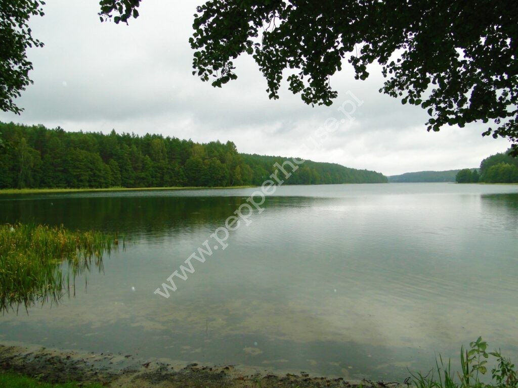 Działka na sprzedaż, pomorskie, Skorzewo - zdjęcie ofertowe nr 2