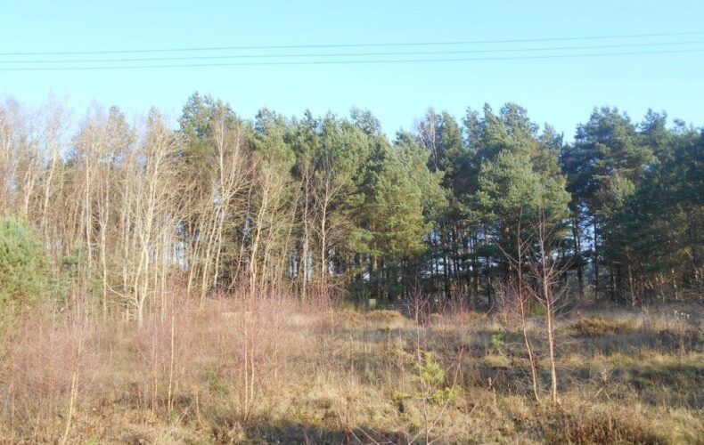 Działka na sprzedaż, pomorskie, Koleczkowo, Młyńska