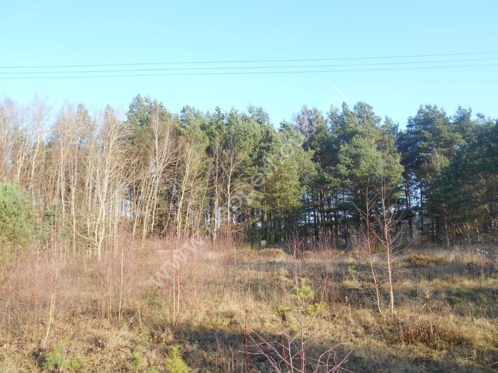 Działka na sprzedaż, pomorskie, Koleczkowo, Młyńska - zdjęcie ofertowe nr 1