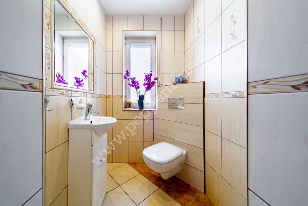 , pomorskie, Pępowo, Arniki - listing photo no. 10