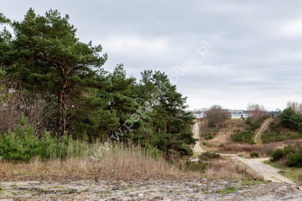 , pomorskie, Dębogórze, Paprykowa - listing photo no. 18