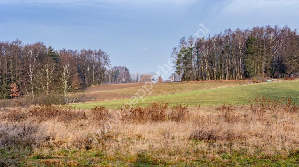 Dom na sprzedaż, pomorskie, Banino, Potokowa - zdjęcie ofertowe nr 17