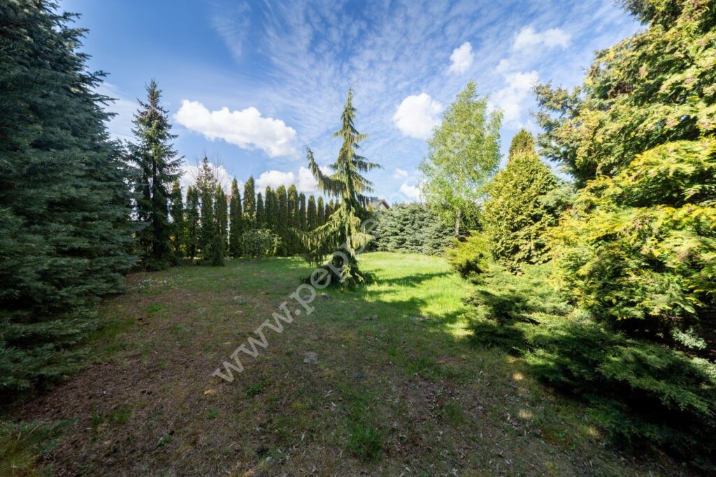 , pomorskie, Pępowo, Arniki - listing photo no. 14