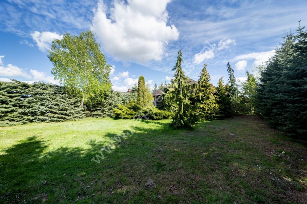 , pomorskie, Pępowo, Arniki - listing photo no. 15