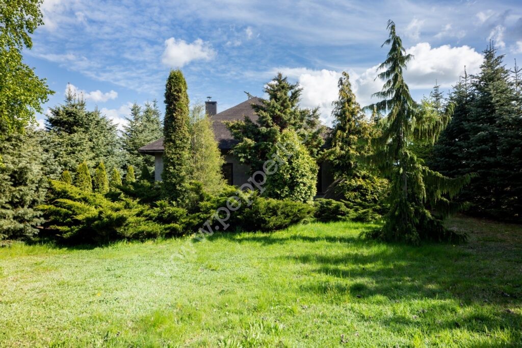 , pomorskie, Pępowo, Arniki - listing photo no. 16