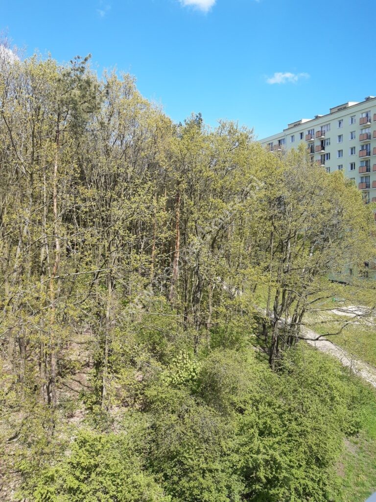 , Gdynia, Obłuże, Podgórska - listing photo no. 15