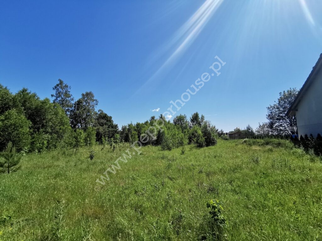 , pomorskie, Leśniewo, Klonowa - listing photo no. 3