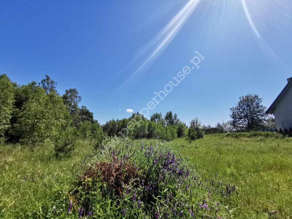, pomorskie, Leśniewo, Klonowa - listing photo no. 1