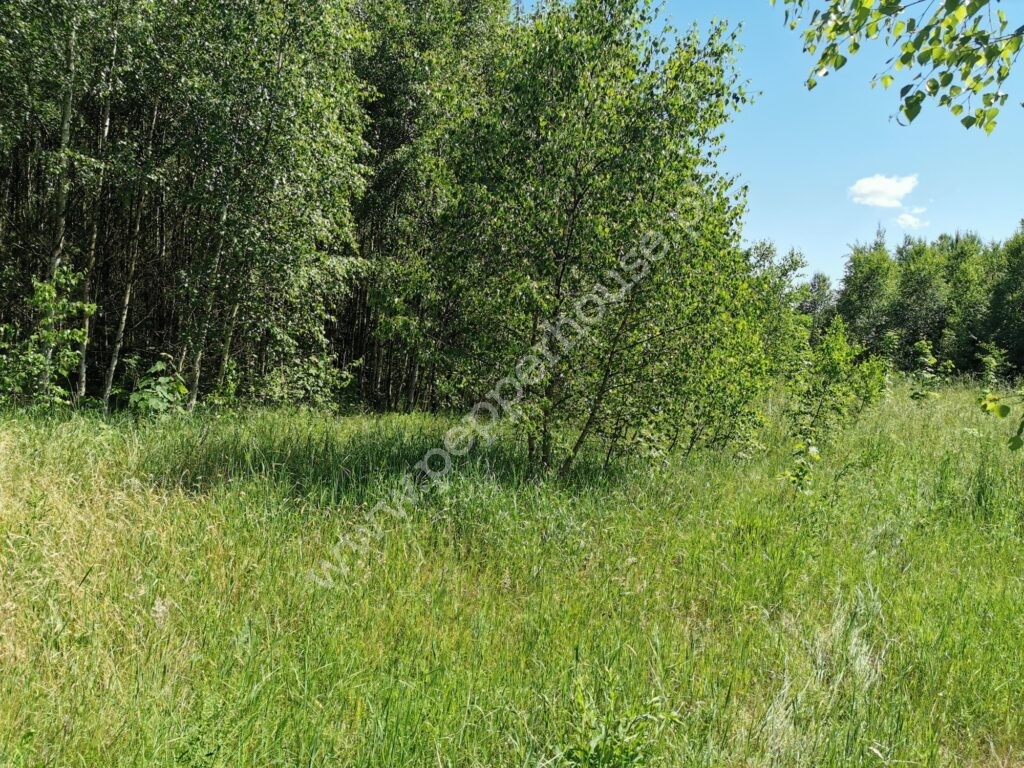 , pomorskie, Leśniewo, Klonowa - listing photo no. 5