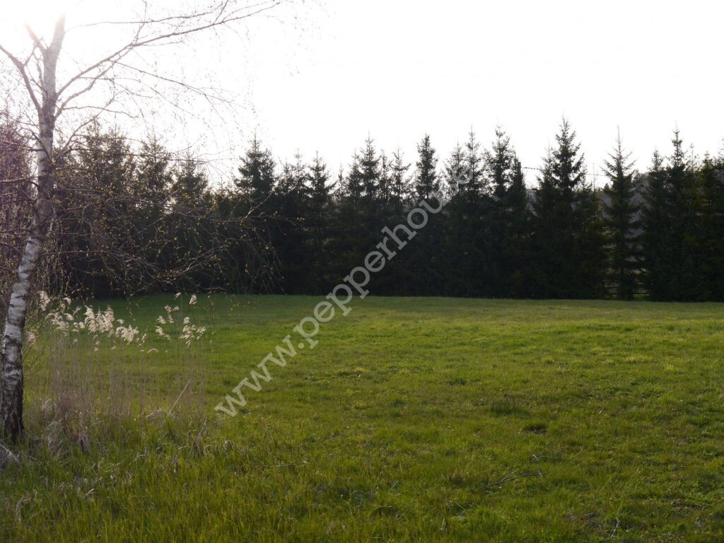 , pomorskie, Huta Dolna, Żurawi Trakt - listing photo no. 1