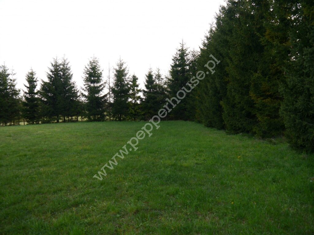 , pomorskie, Huta Dolna, Żurawi Trakt - listing photo no. 2
