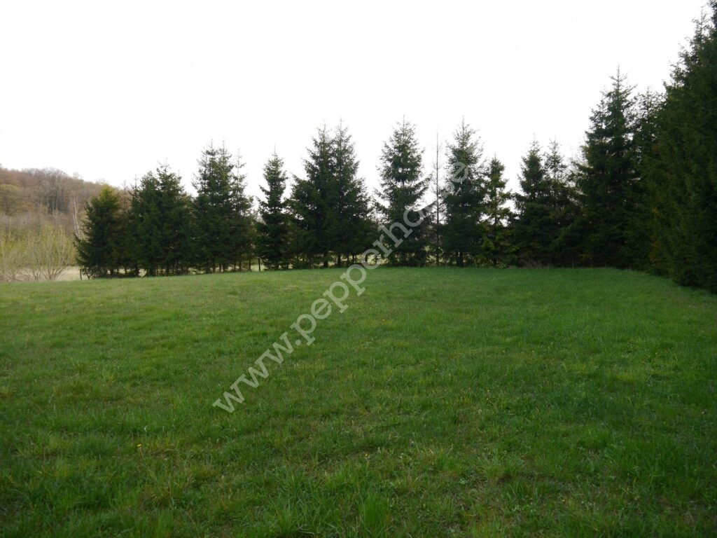 , pomorskie, Huta Dolna, Żurawi Trakt - listing photo no. 3