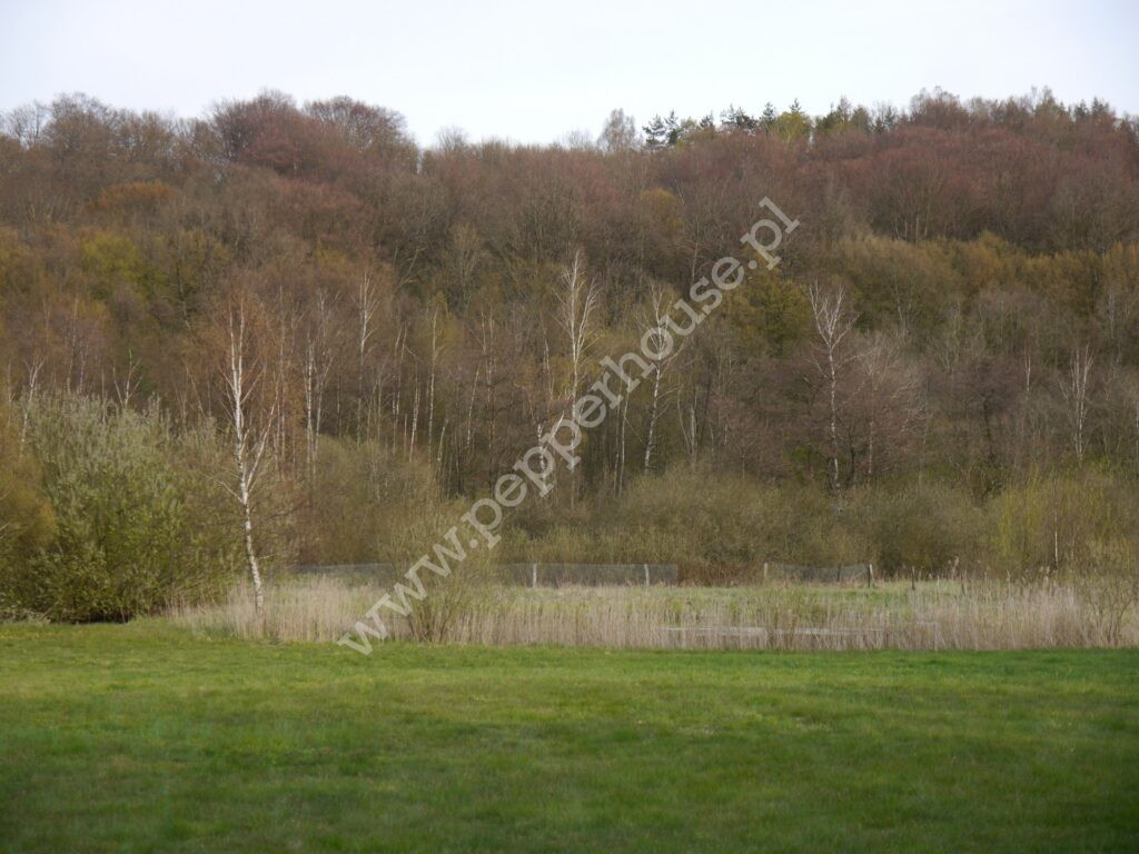 , pomorskie, Huta Dolna, Żurawi Trakt - listing photo no. 4