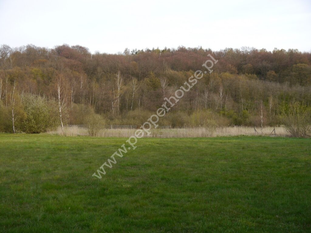 , pomorskie, Huta Dolna, Żurawi Trakt - listing photo no. 5