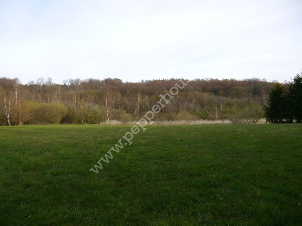 , pomorskie, Huta Dolna, Żurawi Trakt - listing photo no. 6