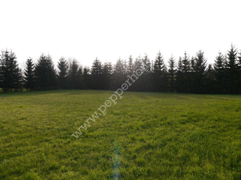 , pomorskie, Huta Dolna, Żurawi Trakt - listing photo no. 7