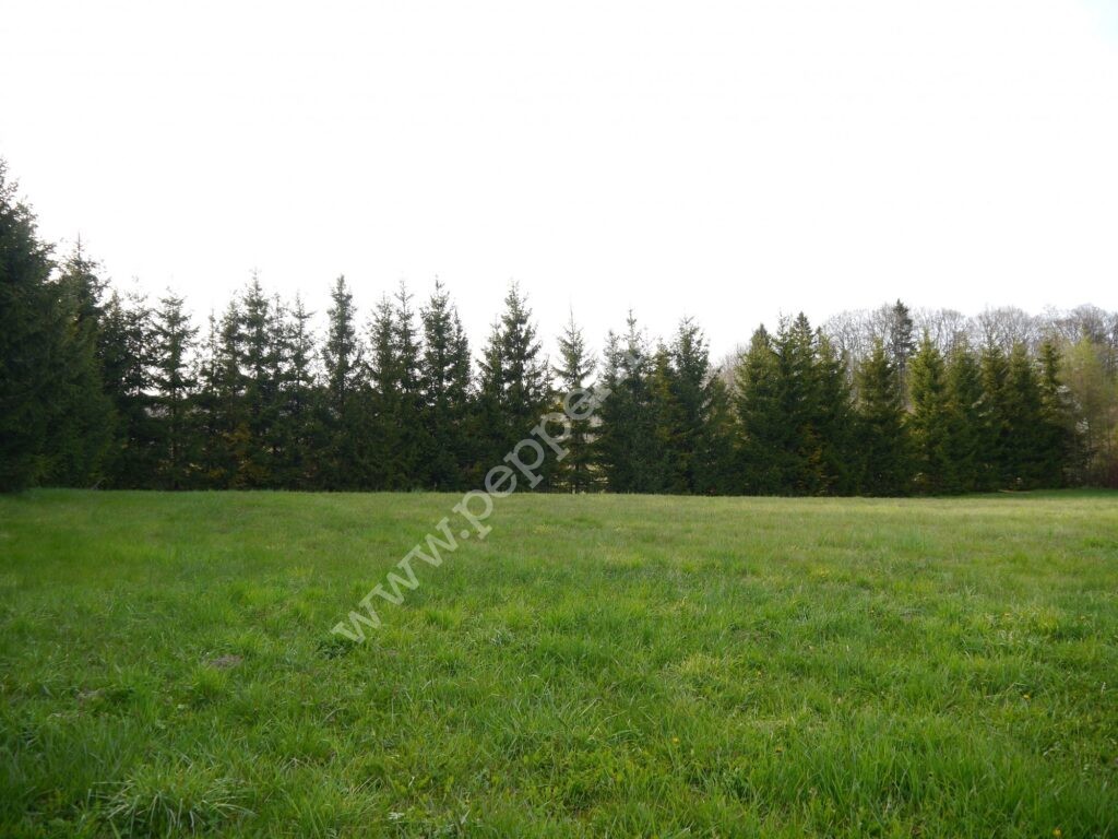 , pomorskie, Huta Dolna, Żurawi Trakt - listing photo no. 9