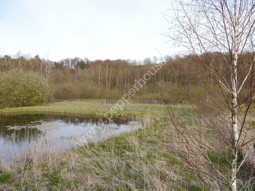 , pomorskie, Huta Dolna, Żurawi Trakt - listing photo no. 10
