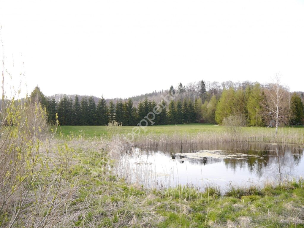 , pomorskie, Huta Dolna, Żurawi Trakt - listing photo no. 11