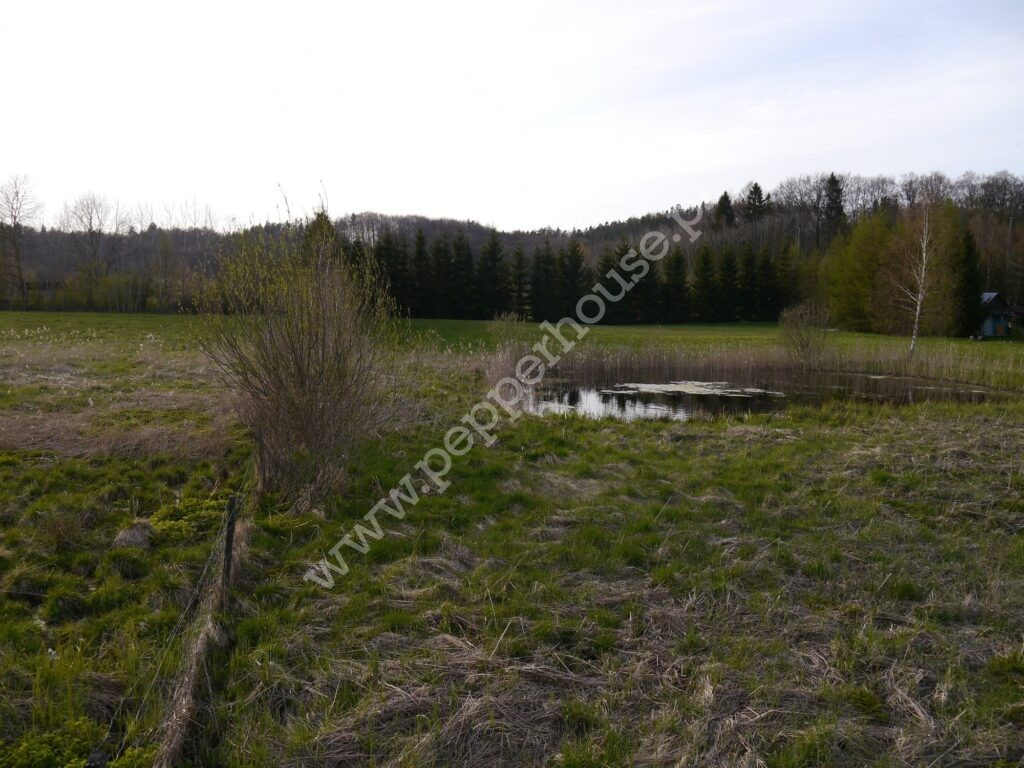 , pomorskie, Huta Dolna, Żurawi Trakt - listing photo no. 13