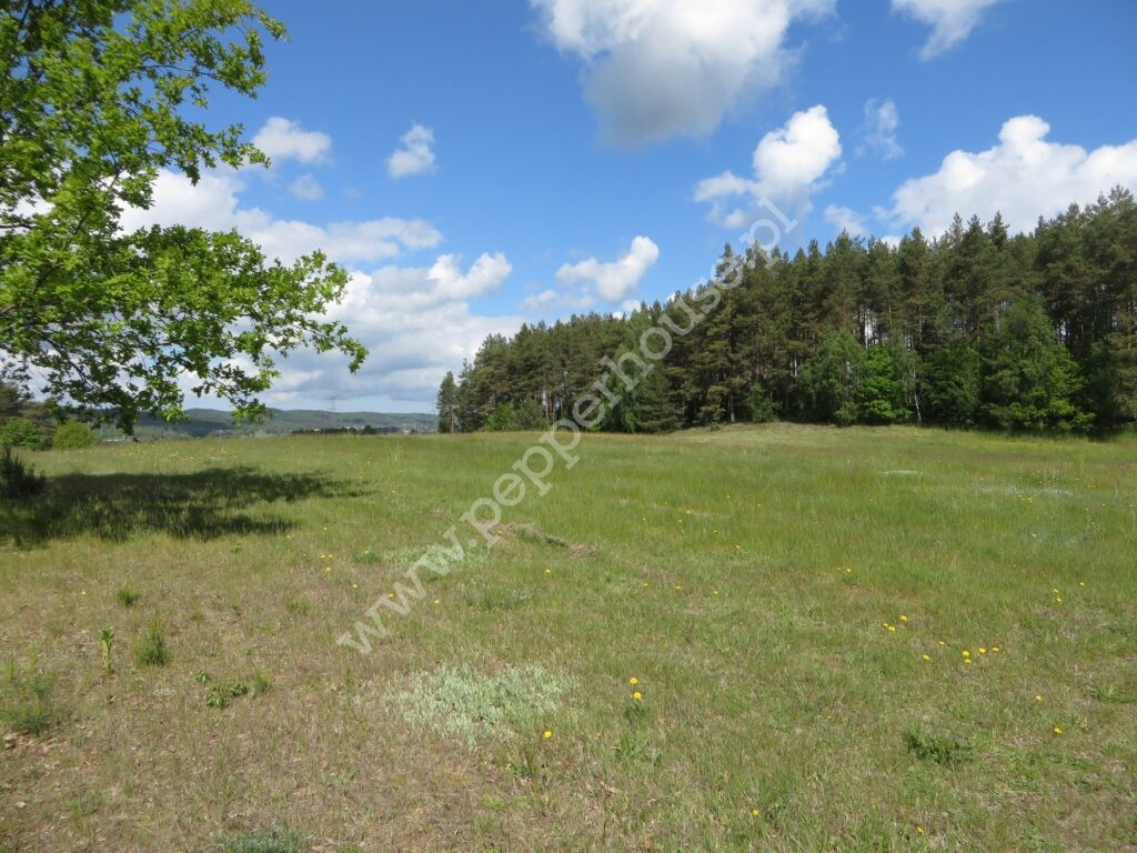 , pomorskie, Tyłowo, Wejherowska - listing photo no. 4