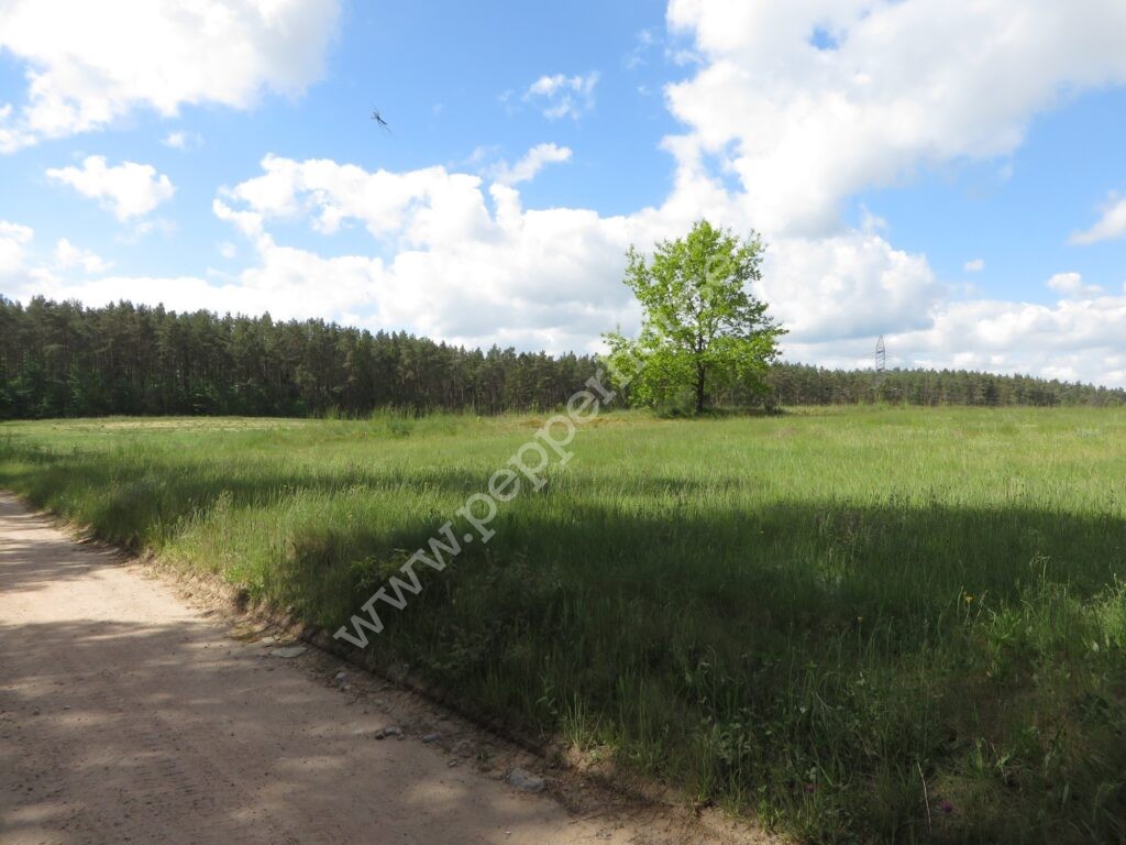 Działka na sprzedaż, pomorskie, Tyłowo, Wejherowska - zdjęcie ofertowe nr 5
