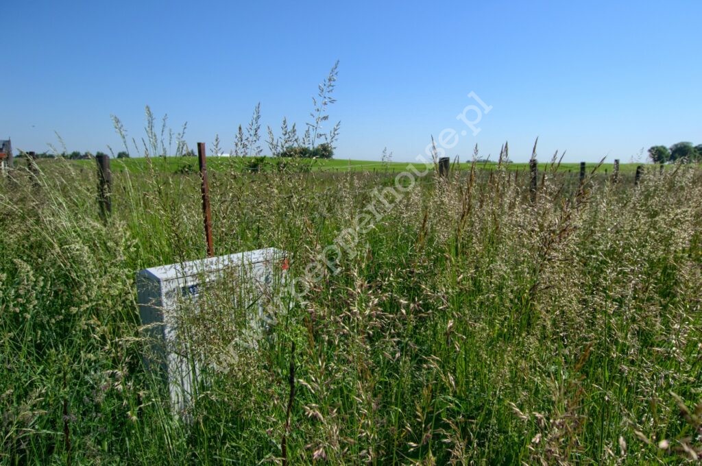 , pomorskie, Bielkówko, Wyżynna - listing photo no. 2