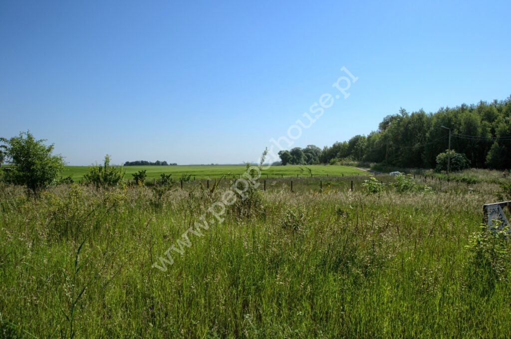 , pomorskie, Bielkówko, Wyżynna - listing photo no. 5