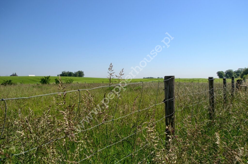 , pomorskie, Bielkówko, Wyżynna - listing photo no. 7