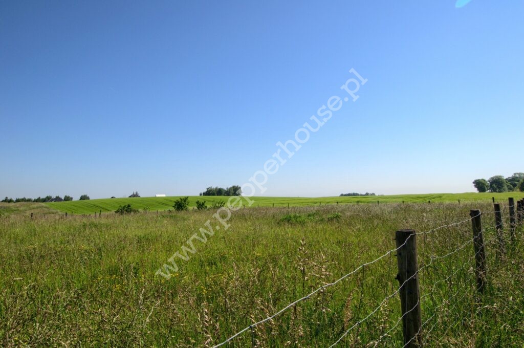 , pomorskie, Bielkówko, Wyżynna - listing photo no. 8