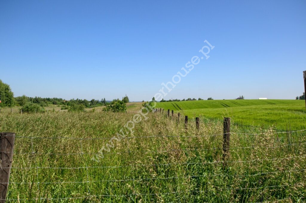 , pomorskie, Bielkówko, Wyżynna - listing photo no. 9