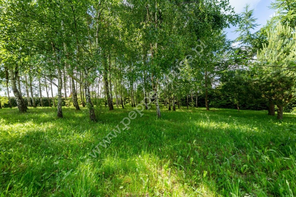 Dom na sprzedaż, pomorskie, Perlino, Potokowa - zdjęcie ofertowe nr 32