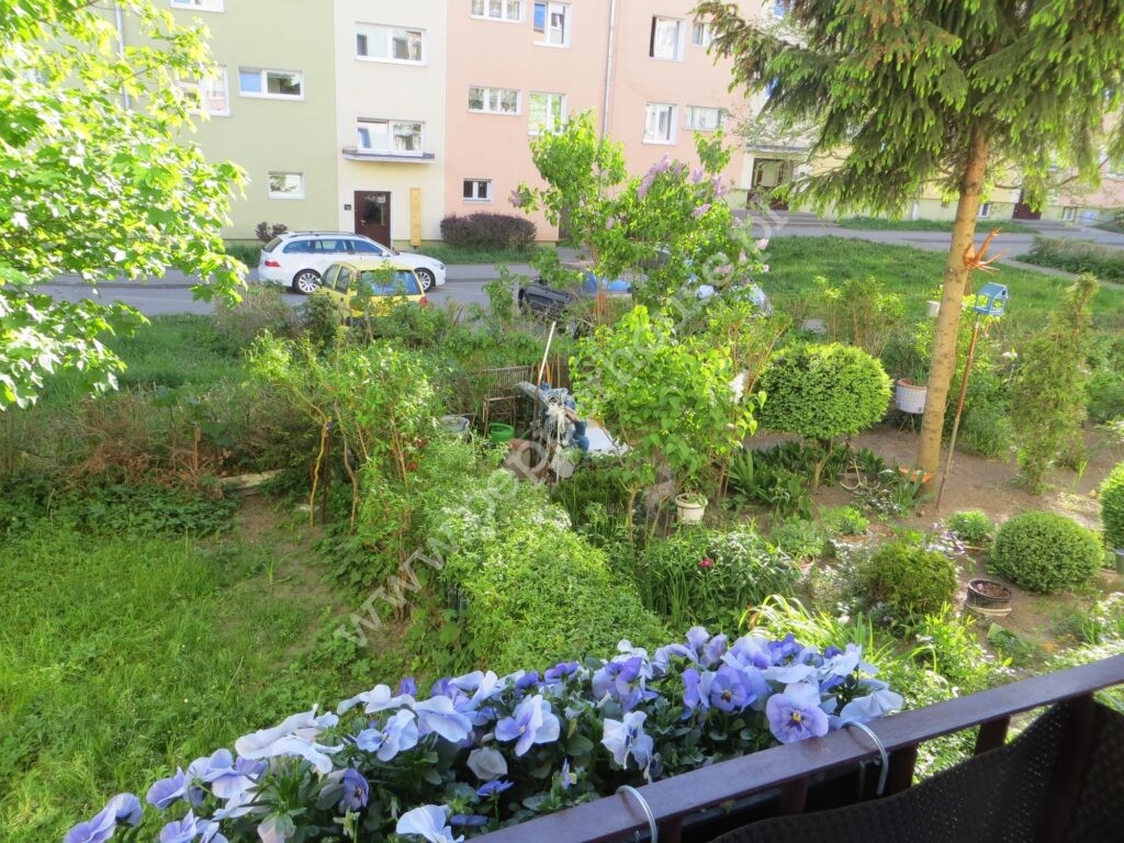 , Gdynia, Witomino, Widna - listing photo no. 3
