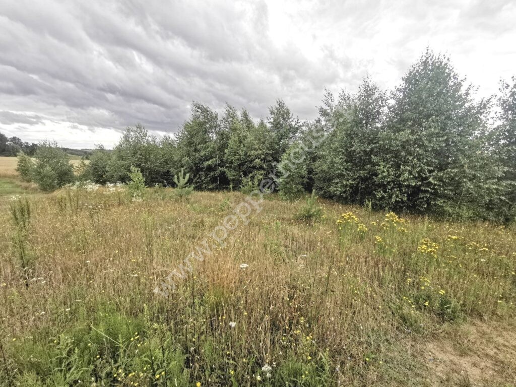 , pomorskie, Grabowiec - listing photo no. 1