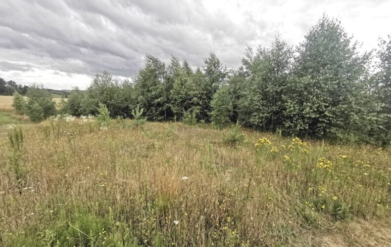 Działka na sprzedaż, pomorskie, Grabowiec
