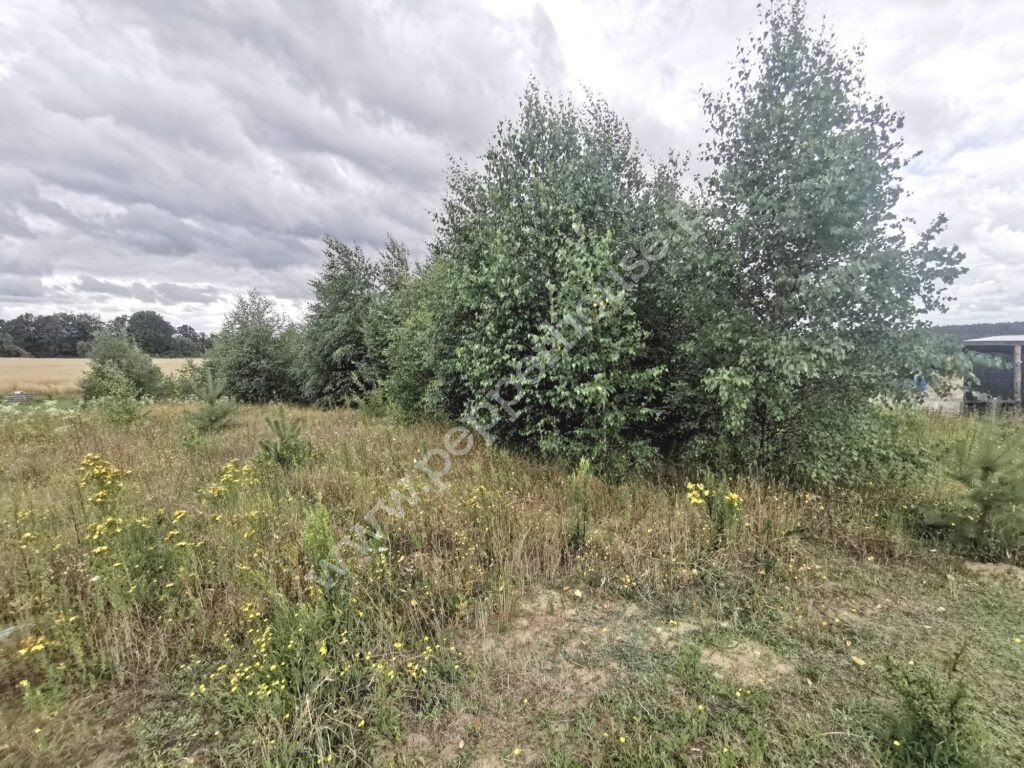 , pomorskie, Grabowiec - listing photo no. 2