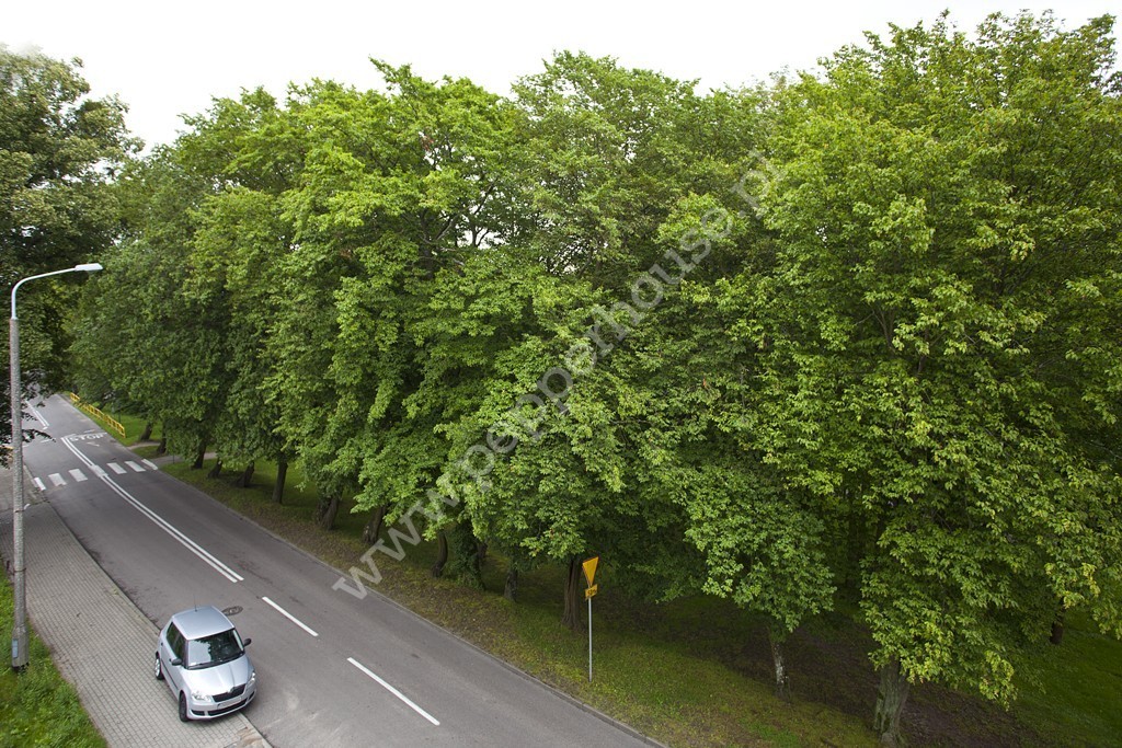 Mieszkanie na sprzedaż, pomorskie, Wejherowo, św. Jacka - zdjęcie ofertowe nr 12
