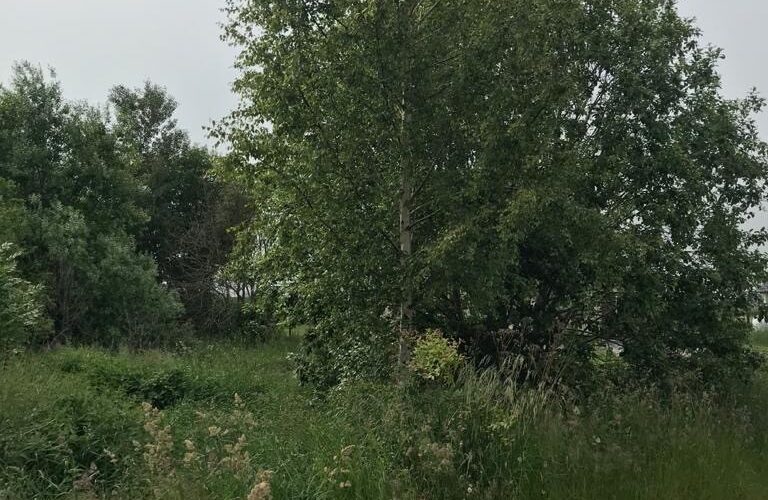 Działka na sprzedaż, pomorskie, Żelistrzewo, Spokojna