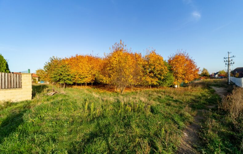 , pomorskie, Straszyn, Konwaliowa