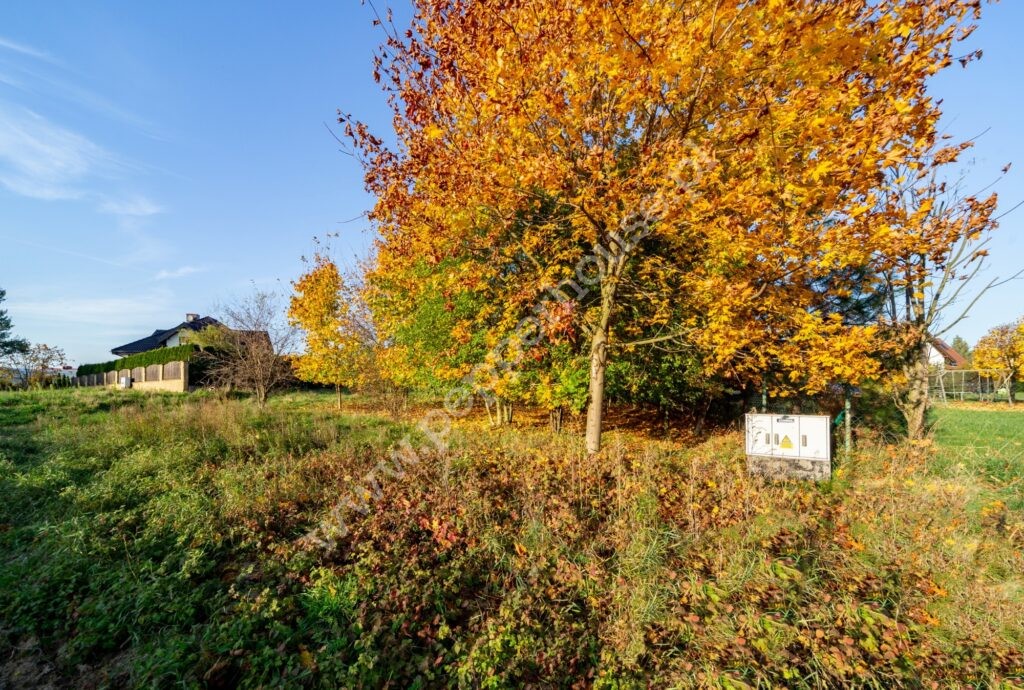 , pomorskie, Straszyn, Konwaliowa - listing photo no. 2